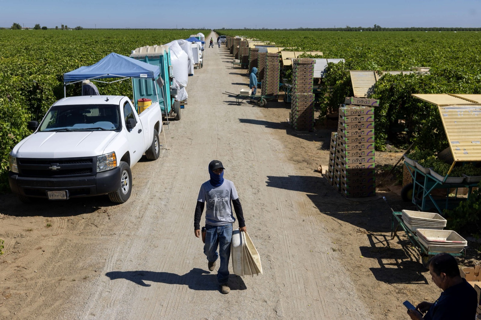 Farmworkers gathered at a California Farmworker Foundation community event